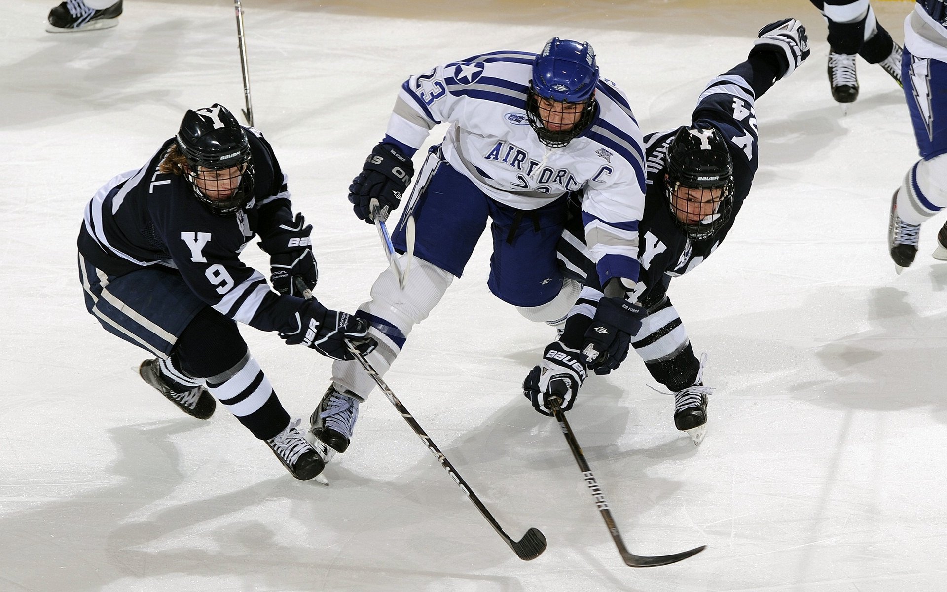 BronMuse对比拉拉维亚＆芬尼-史密斯并发问：谁更香？