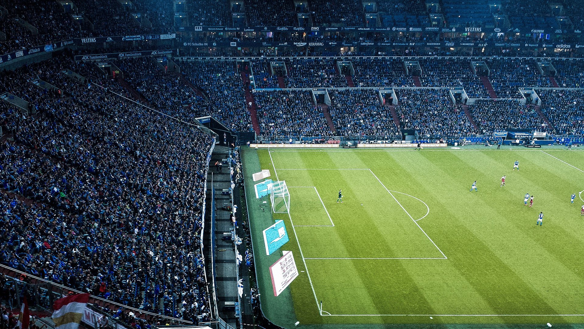 法国橄榄球赛事的全球推广引发观众热潮，法国橄榄球年历